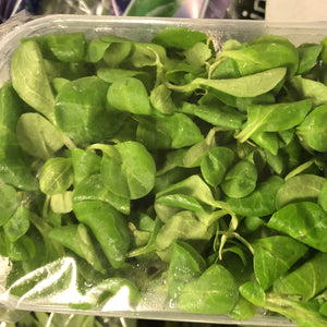 punnet of lambs leaf lettuce